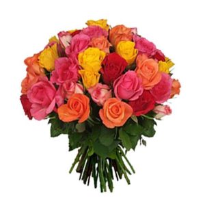 24 Multi Colored Roses