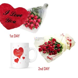 Exclusive Valentine Package 1